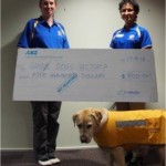 guide dogs donation